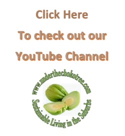 Click Here to check out our YouTube Channel