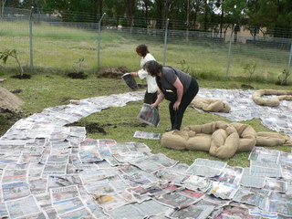 Laying the newspaper