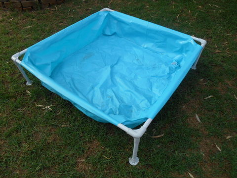 The Kiddy Pool