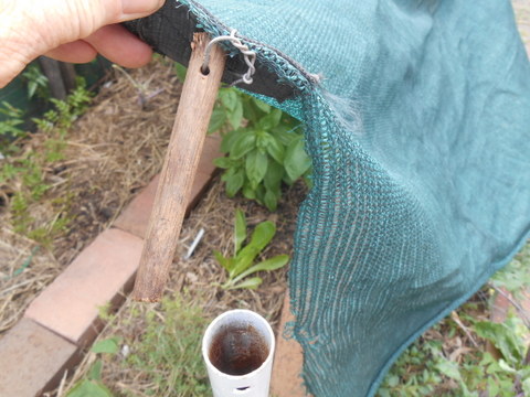 The dowel wired onto the shade cloth