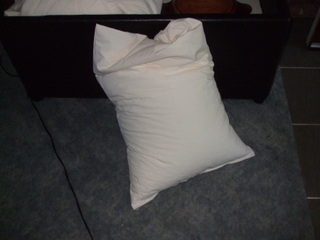 a pillowcase, slightly over stuffed!