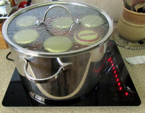 Preserving with our Induction Cooker