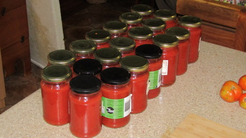 Part of this years (2020) tomatoe preservation efforts