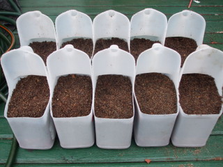 Topped up with potting mix