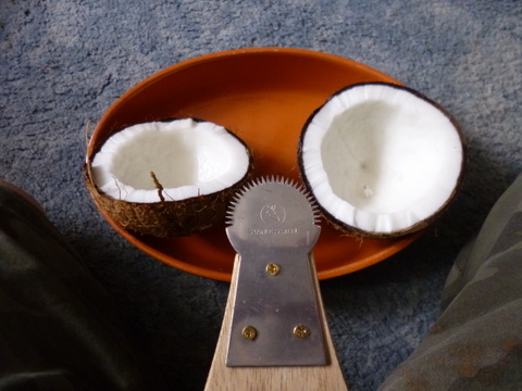 The Grater blade and Coconut Bowl
