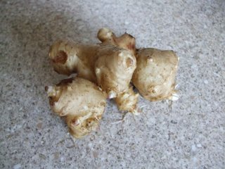 A Jerusalem Artichoke from this year's harvest