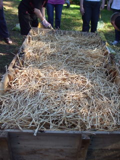 Final layer of straw for the second set of layers