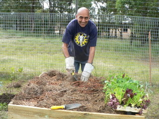 Planting out the finished wicking bed Planting out the finished wicking bed