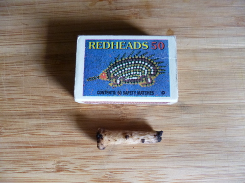 Comfrey Root Cutting