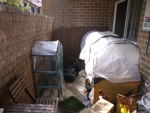 A picture is worth a thouusand words