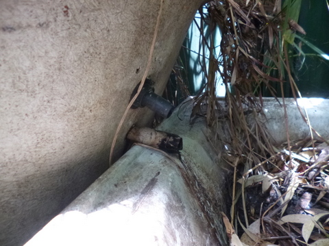 Water drain from spa into first bathtub
