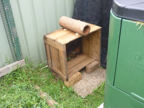 In place - Before the Roof