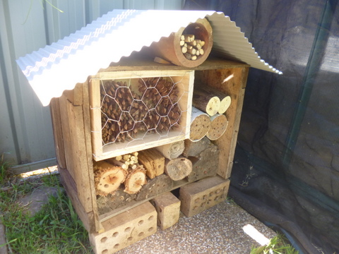 The Finished Product