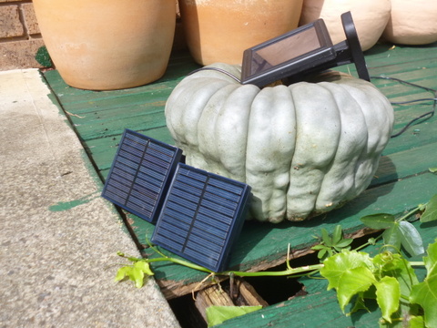 The pumpkin design doesn't work so well