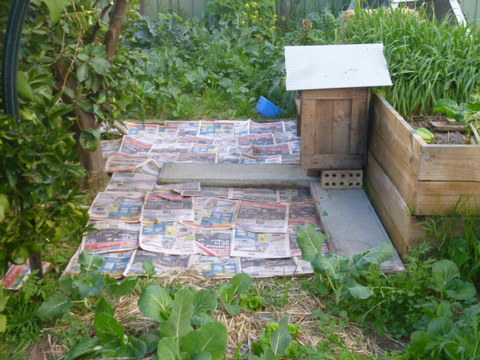 Slabs and bug hotel in place