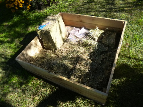 Putting the Lucerne in place