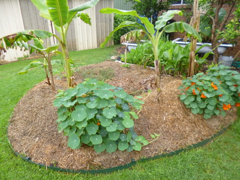 Guilds don't need to be complex