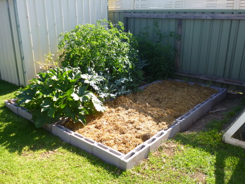 Two of the extended beds