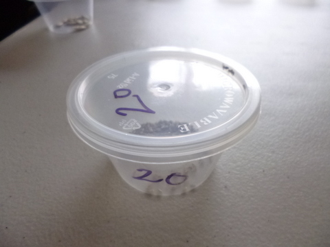 Close up of the container