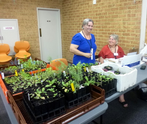 Our lovely seed ladies!