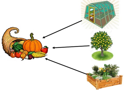 Every funtion supported by more than one element Every funtion supported by more than one element
