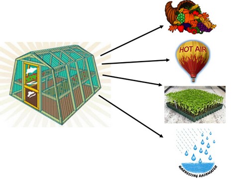 Every element has more than one function Every element has more than one function