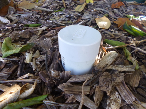 The original cap on installed deep pipe irrigator