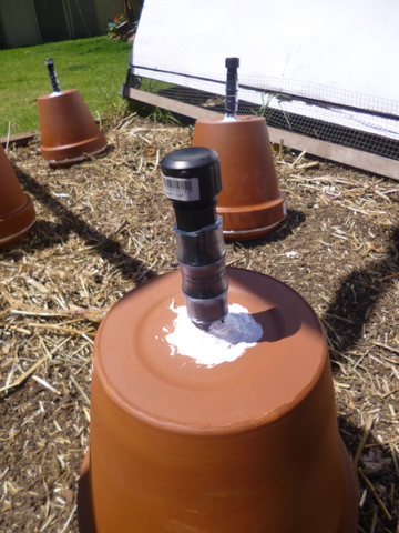 Two barbed fittings connected by plastic tube