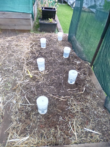 Capsules buried, reservoirs in place