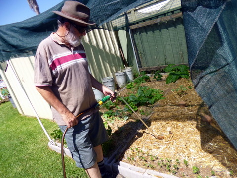 Me using it to water