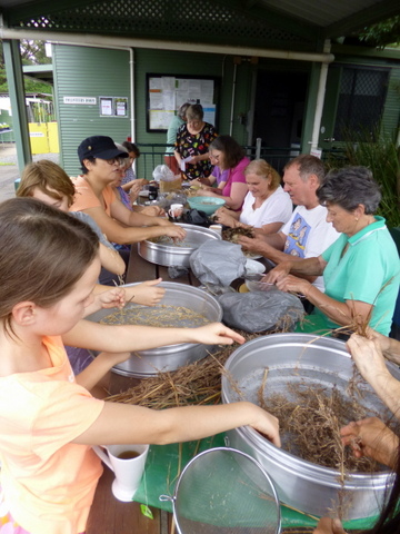 Seed Saving in Action