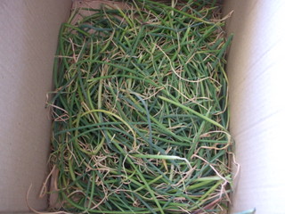 A box 'o onion bits