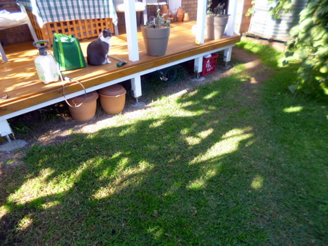 The Area Prior to Commencement of Work