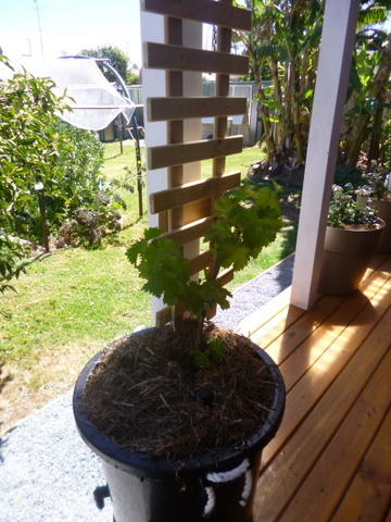 It's all come tigether!