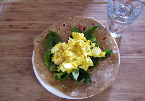 Home produced egg and lettuce wrap