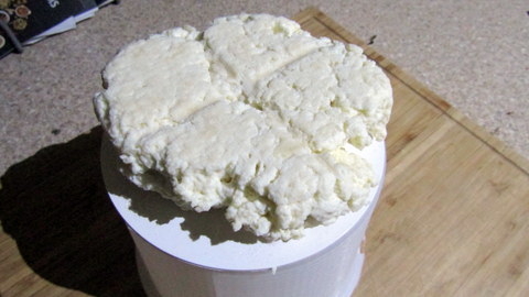 The paneer after pressing - not excatly what I expected!