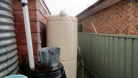 I think this tank is full!