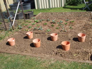 The pots set out on the bed