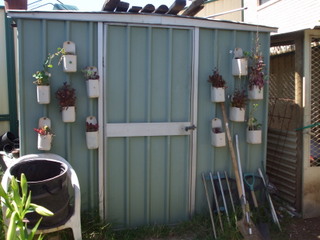 Vertical Veggies - Based on plastic 3 litre milk bottles