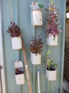 Vertical Veggies - detail