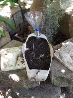 Small recycled wicking bed