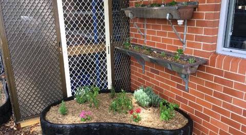 Photo: Luke Giblin Photo: Luke Giblin