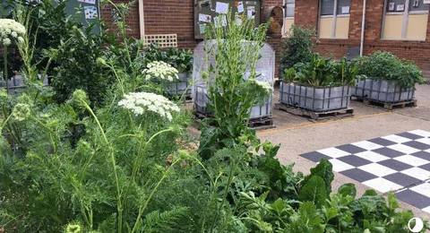 Photo: Luke Giblin Photo: Luke Giblin