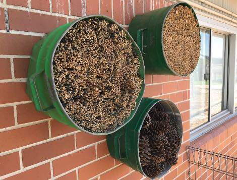 Photo: Luke Giblin Photo: Luke Giblin