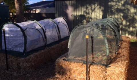 Photo: Luke Giblin Photo: Luke Giblin