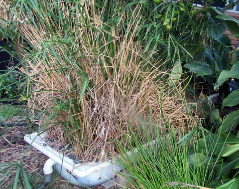 .....and from the north