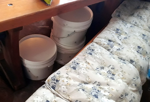 Mushroom buckets under the table