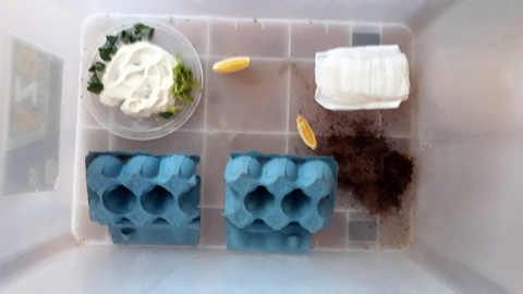 Refreshed and ready to go!