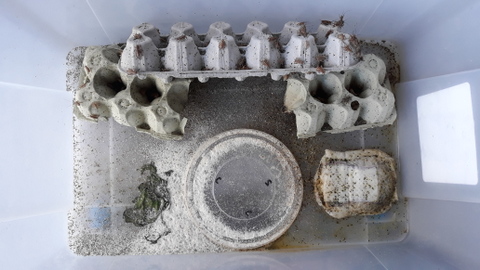 In need of a clean out!