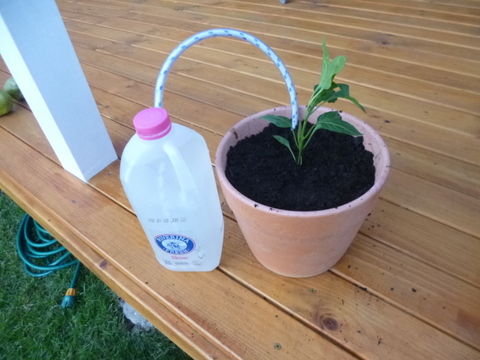 Putting together a project on the back deck